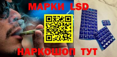 гидропоника Камышлов