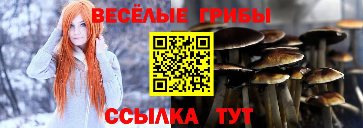 Псилоцибиновые грибы мухоморы  Вход с VPN  Кстово 